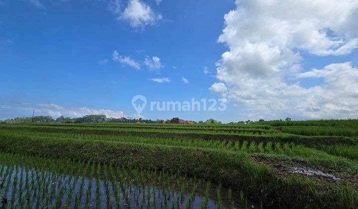 DIJUAL TANAH DEKAT PANTAI VIEW LAUT SAWAH DI KLATING BALI 2