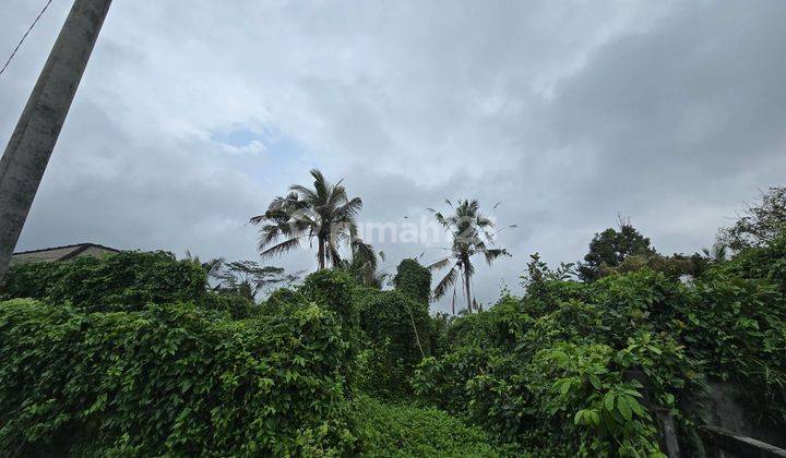 LAND FOR SALE VIEWING TERRACED FIELDS IN PENEBEL TABANAN BALI 2