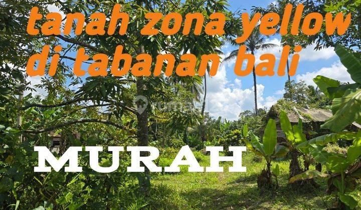 DIJUAL TANAH ZONQ YELLOW DI TABANAN BALI Tanah 1