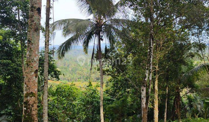 DIJUAL TANAH MURAH VIEW SAWAH DILINGKUNGAN VILLA DI TABANAN BALI 1