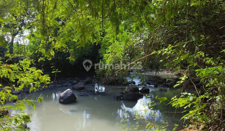 Dijual tanah los sungai dan view sawah di tabanan bali 1