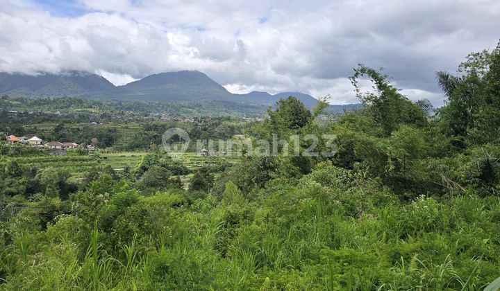 Land for Sale with Mountain View and Terracing in Tabanan Bali Land for Sale with Mountain View and Terracing in Tabanan Bali