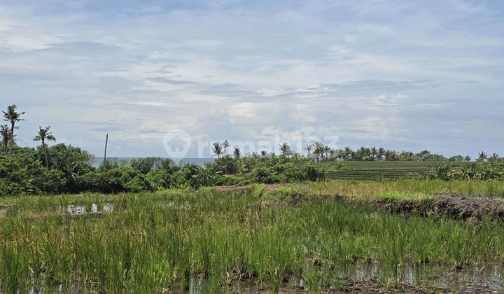 Dijual Tanah Kecil View Sawah Laut di Tabanan Bali Dijual Tanah Kecil View Sawah Laut di Tabanan Bali