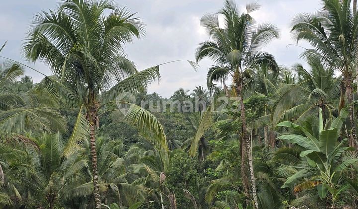 Cheap Sale Garden Land at Los Sungai, Tababan Bali