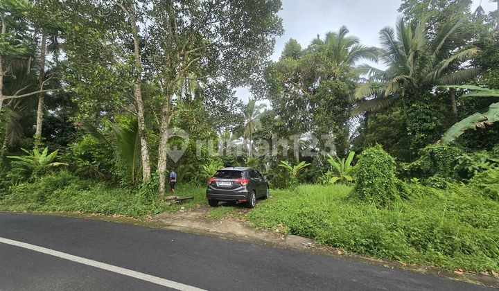 Land for Sale Cheap Near Villa Puri Dajuma in Tabanan, Bali.