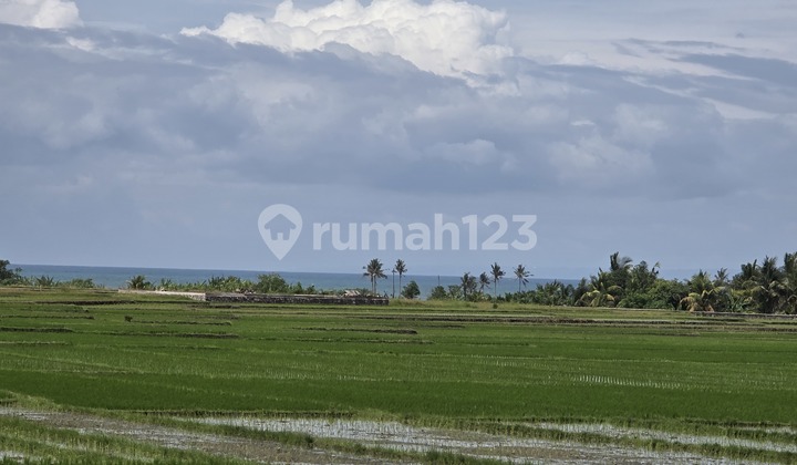 Dijual Tanah Murah Dekat Pantai View Laut Gunung dan Sawah Terasering di Tabanan