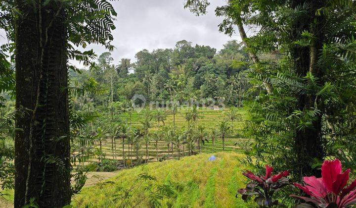 FOR SALE VERY CHEAP LAND WITH HEAVEN VIEW in Tabanan Bali 2