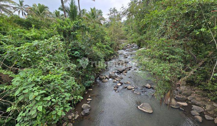 For Sale Cheap Land Los Sungai In Penebel Tabanan Bali 2