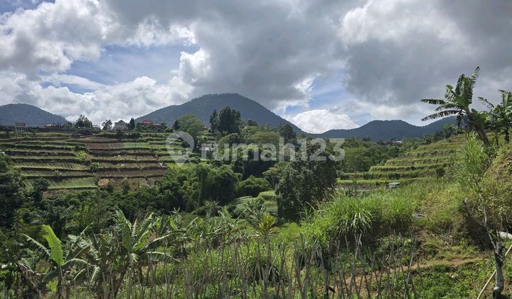 Land for Sale with Valley and Mountain View in Bali Land for Sale with Valley and Mountain View in Bali
