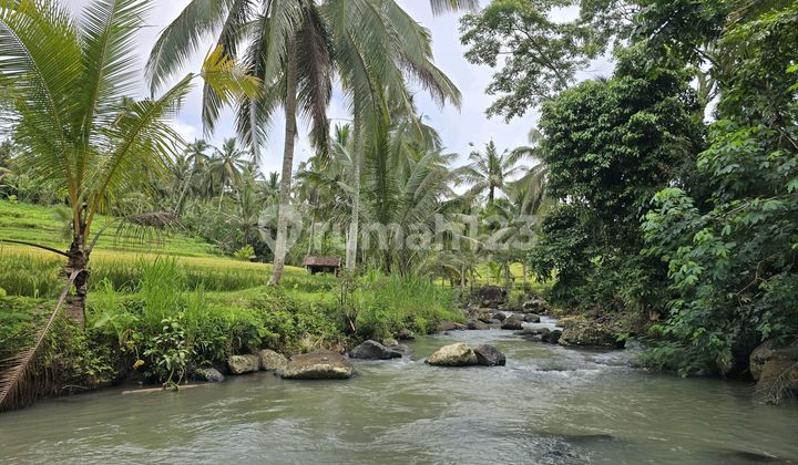 For sale. Land with building. Beautiful home stay view in Tababan, Bali.