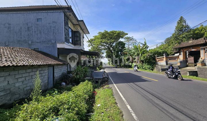 Premium Land for Sale on the Main Roadside in Baturiti, Bali
