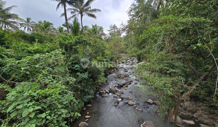 For Sale Cheap Land Los Sungai In Penebel Tabanan Bali 1