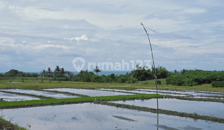 Dijual Tanah Murah View Laut dan Gunung Sawah Terasering di Tabanan Dijual Tanah Murah View Laut dan Gunung Sawah Terasering di Tabanan