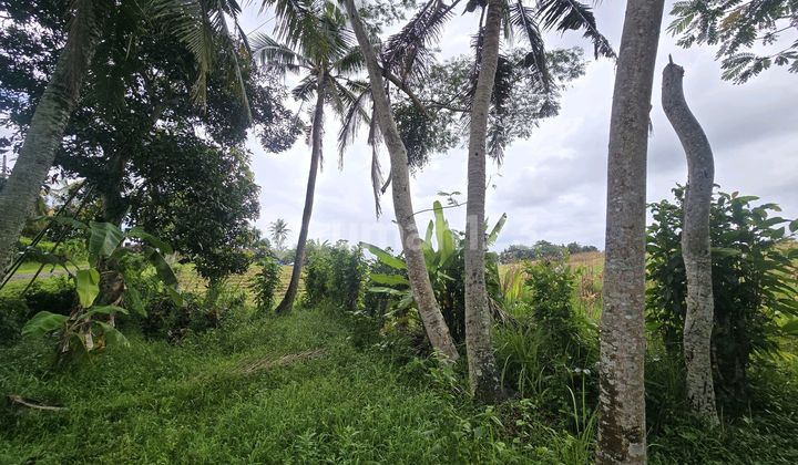 Dijual Tanah ******** di Tabanan Bali