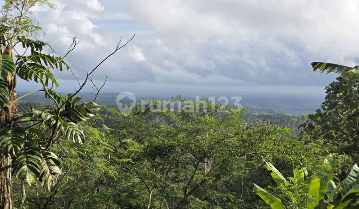 For Sale Land with Valley and Mountain Views in Tabanan, Bali