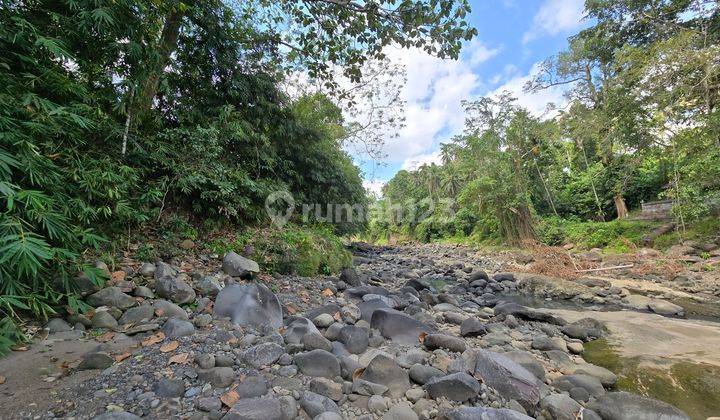 DIJUAL TANAH LOS SUNGAI Murah Di Tabanan Bali 2