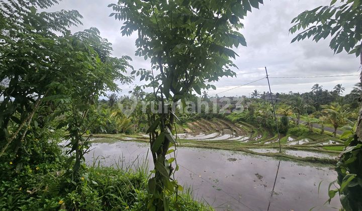 For Sale: Garden Land. Cheap View of Rice Fields and Mountains in Tabanan, Bali.