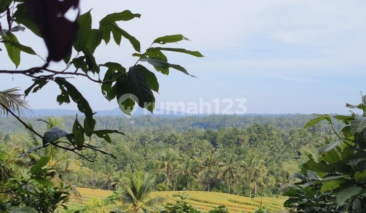 Tanah Kebun View Sawah Dan Lembah Suasana Sejuk Perbukitan