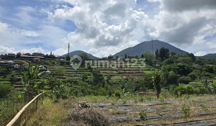 Small Land with Special View for Sale in Bedugul, Bali Small Land with Special View for Sale in Bedugul, Bali