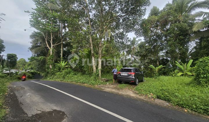 Land for Sale Cheap Near Villa Puri Dajuma in Tabanan, Bali.