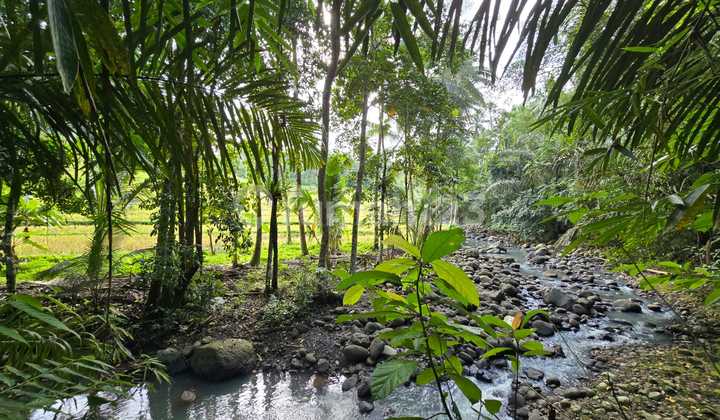 Dijual Tanah Murah Los Sungai dan View Sawah di Tabanan Bali