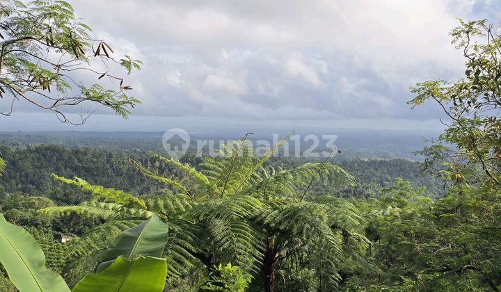 For Sale Land with Valley and Mountain Views in Tabanan, Bali