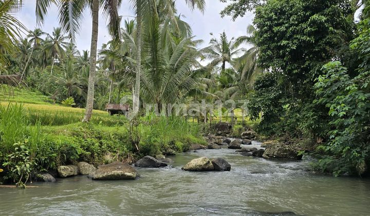 For sale. Land with building. Beautiful home stay view in Tababan, Bali.