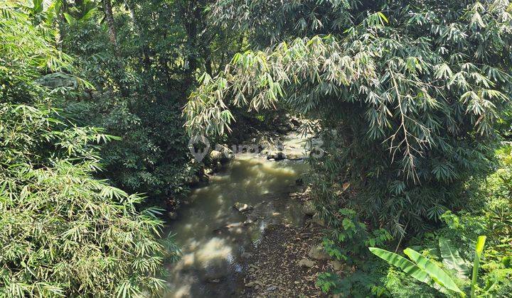 Tanah Murah View Sawah Dan Los Sungai Di Tabanan Bali 2