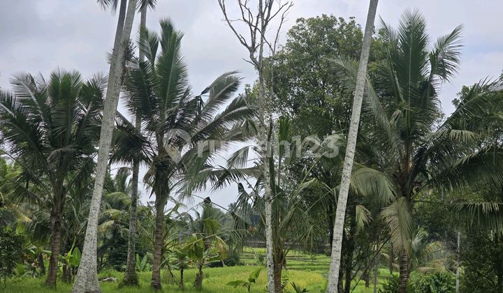 Dijual Tanah.view.cantik.di Tababan.bali