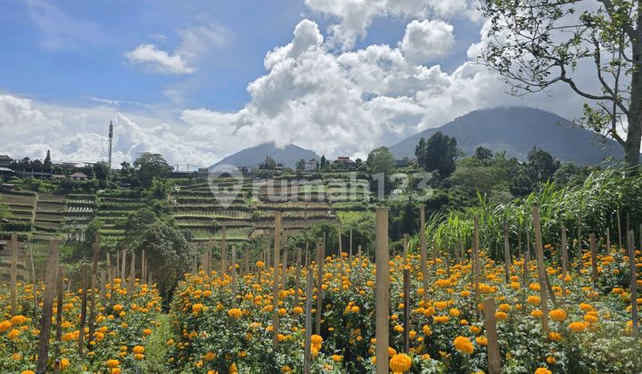 For Sale Rare Land with Mountain Valley Sea View in Bedugul Bali For Sale Rare Land with Mountain Valley Sea View in Bedugul Bali