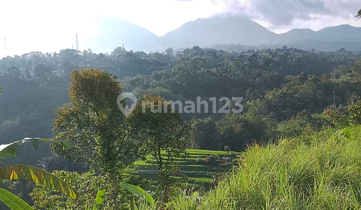 Dijual Tanah.murah.view.gunung Bukit Dan.sawah Cantik.di.bali Dijual Tanah.murah.view.gunung Bukit Dan.sawah Cantik.di.bali