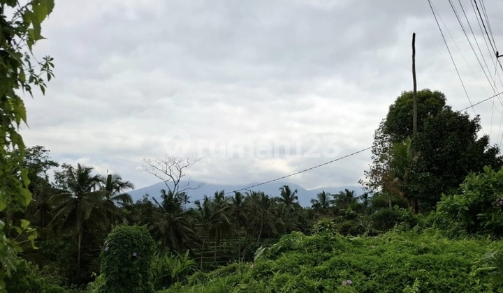 Tanah Kebun View Gunung Dan View Sawah Akses Jalan Hotmix Tanah Kebun View Gunung Dan View Sawah Akses Jalan Hotmix