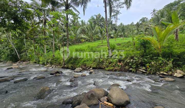 For Sale ******** Commercial Villa River View Jungle