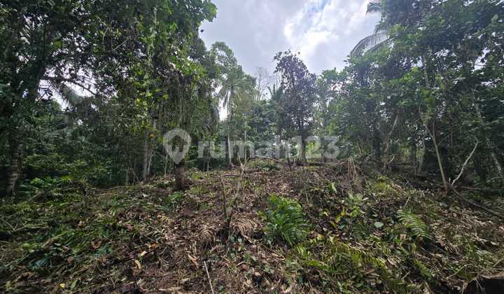 For Sale Cheap Durian Garden Land Below Market Price in Tabanan