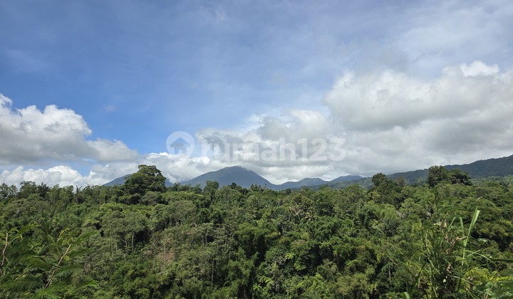Di Jual Kebun View Gunung Murah di Badung Bali