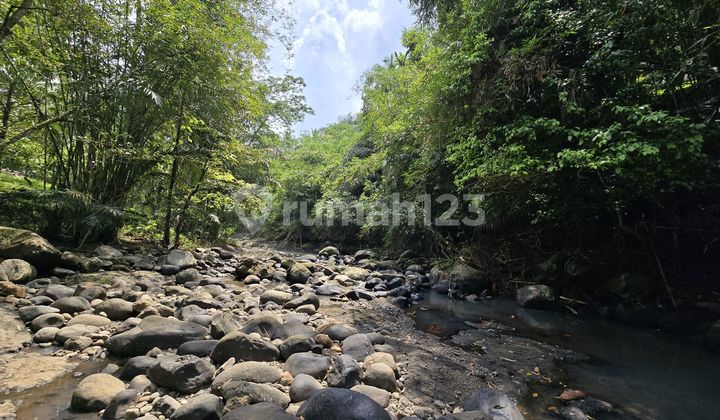 For Sale Land.river.rocks In Tabanan Bali