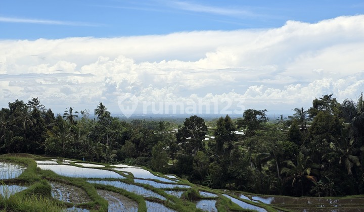 Dijual Tanah View Gunung Sawah Terasering dan Laut di Bali