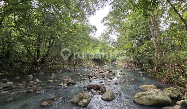 Dijual Tanah Los Sungai Murah di Tabanan Bali