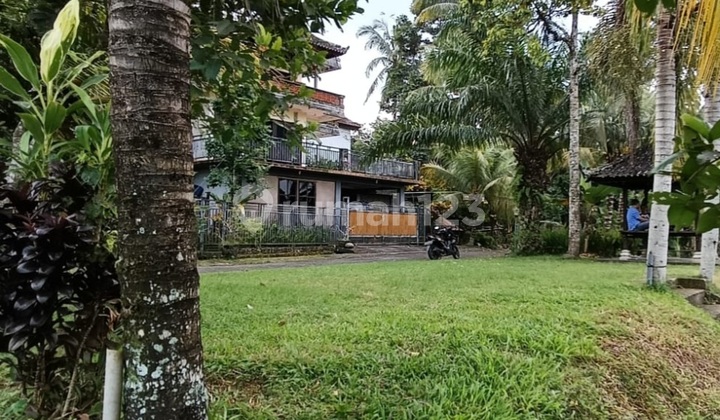 Dijual Tanah Tanah Murah View Sawah Di Tabanan Bali