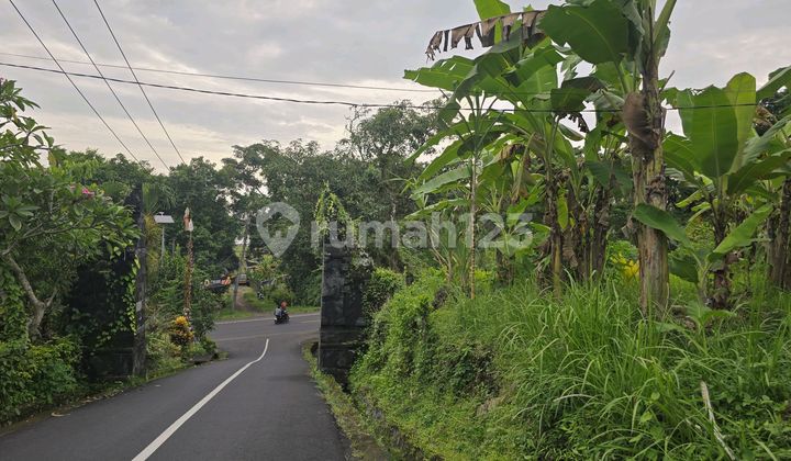 Dijual Tanah Kecil Dekat Jalan Propinsi di Tabanan Bali