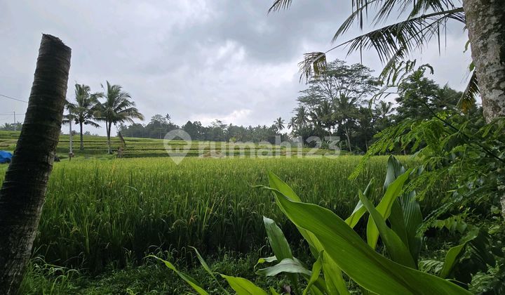 Dijual Tanah Kecil View Sawah Gunung di Tabanan