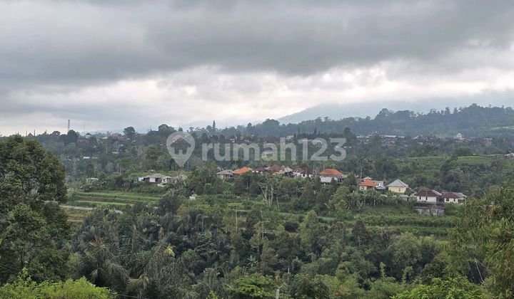 Dijual Tanah.murah.view.lembah Dan.sawah.di.tabanan.bali Dijual Tanah.murah.view.lembah Dan.sawah.di.tabanan.bali