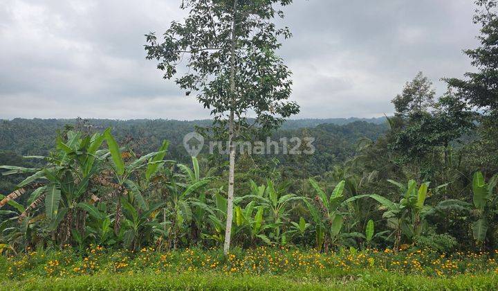 CHEAP LAND WITH PANORAMA VIEW FOR SALE in Tabanan Bali 2