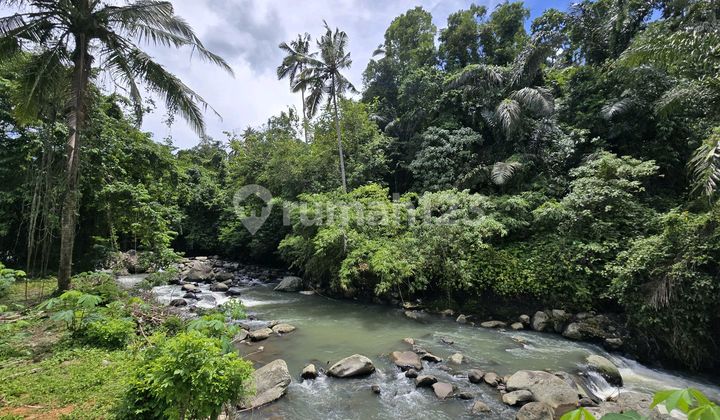 Dijual Murah Tanah Los Sungai Datar di Tabanan Bali