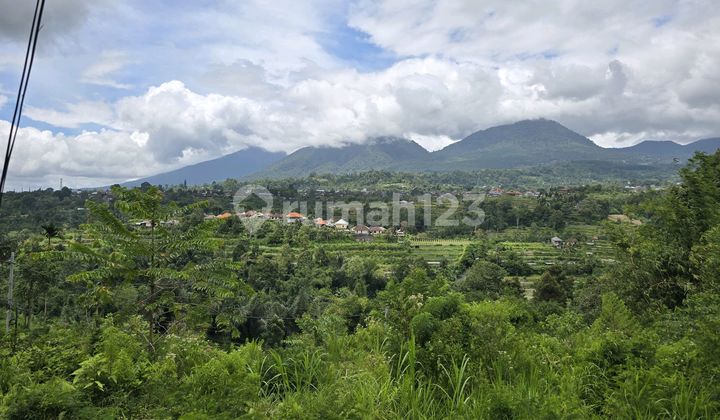 Land for Sale with Mountain View and Terracing in Tabanan Bali Land for Sale with Mountain View and Terracing in Tabanan Bali