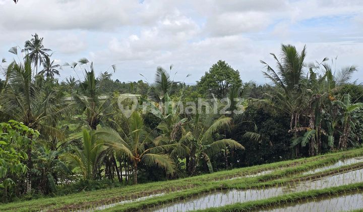 Dijual Tanah Kecil View Sawah dan Gunung di Tabanan Bali