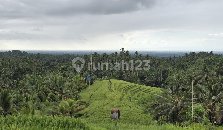 For Sale Cheap Garden Paddy Land Beautiful View Sea and Terraced Rice Fields in Bali