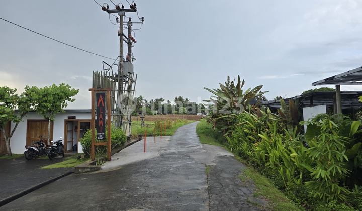 Dijual Tanah Dekat.villa.view Sawah Terasering Di Tababan Bali