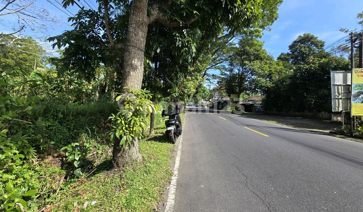 For Sale Premium Land on the Main Roadside Mengwi Sibgaraja Bali
