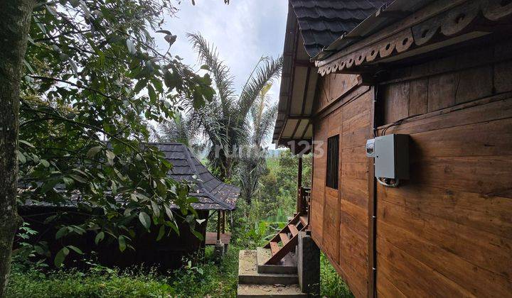 TANAH BONUS VILLA VIEW SAWAH DI TABANAN BALI 2